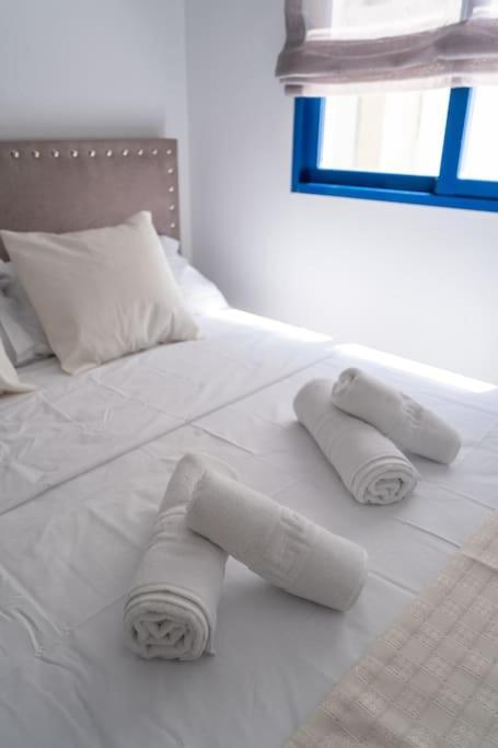 Amplio Apartamento 2 Dormitorios Cerca De La Playa アリカンテ エクステリア 写真